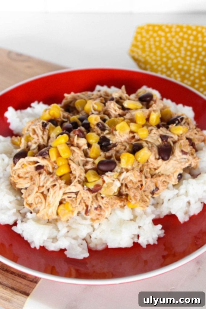 Close-up of shredded Slow Cooker Tex-Mex Fiesta Chicken with corn and black beans in a creamy sauce.
