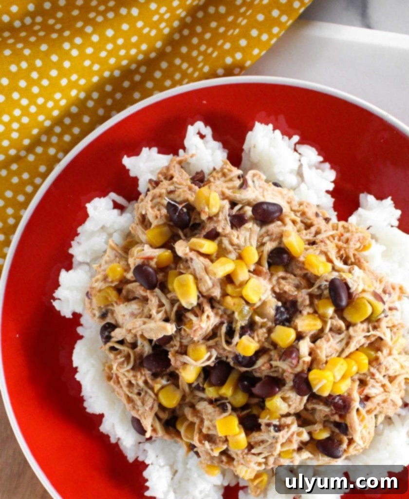 Overhead view of Slow Cooker Tex-Mex Fiesta Chicken served in a bowl with rice, topped with cilantro.