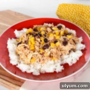 Tex-Mex chicken on a bed of rice.
