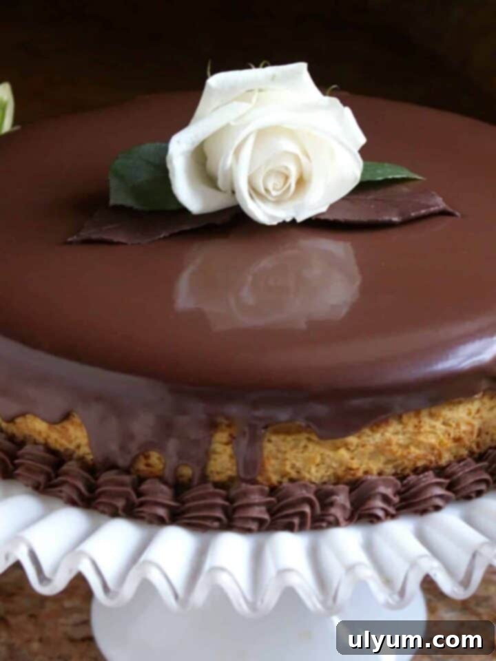 Pumpkin Cheesecake with Dark Chocolate Ganache layered dessert