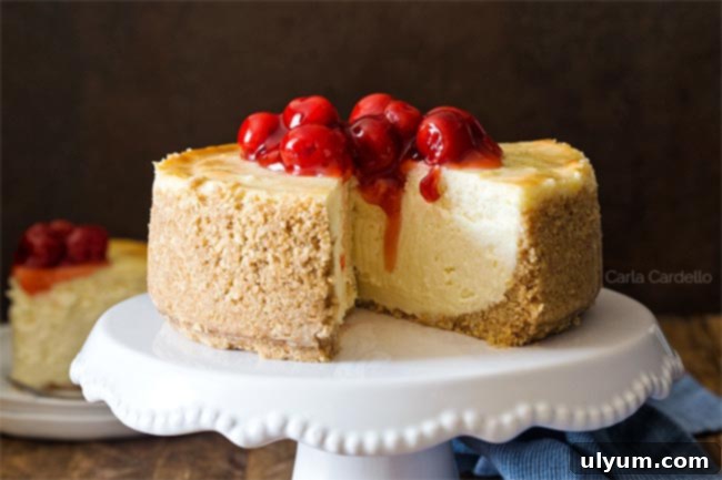 6-Inch Cheesecake with Graham Cracker Crust