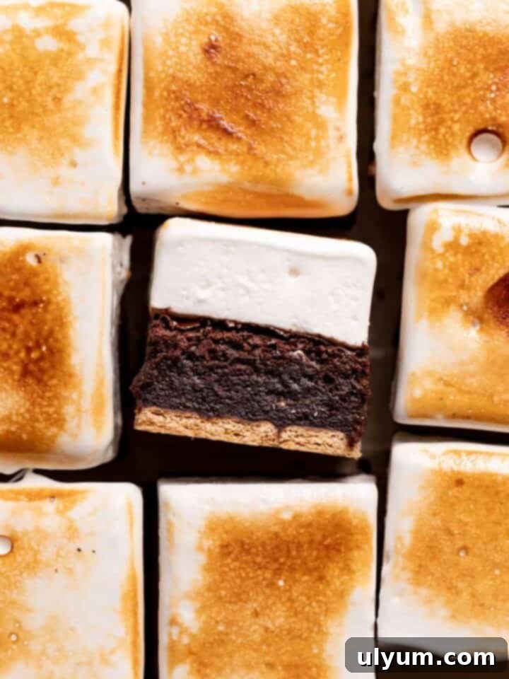 S’mores Brownies with Graham Cracker Crust and Toasted Marshmallow Top