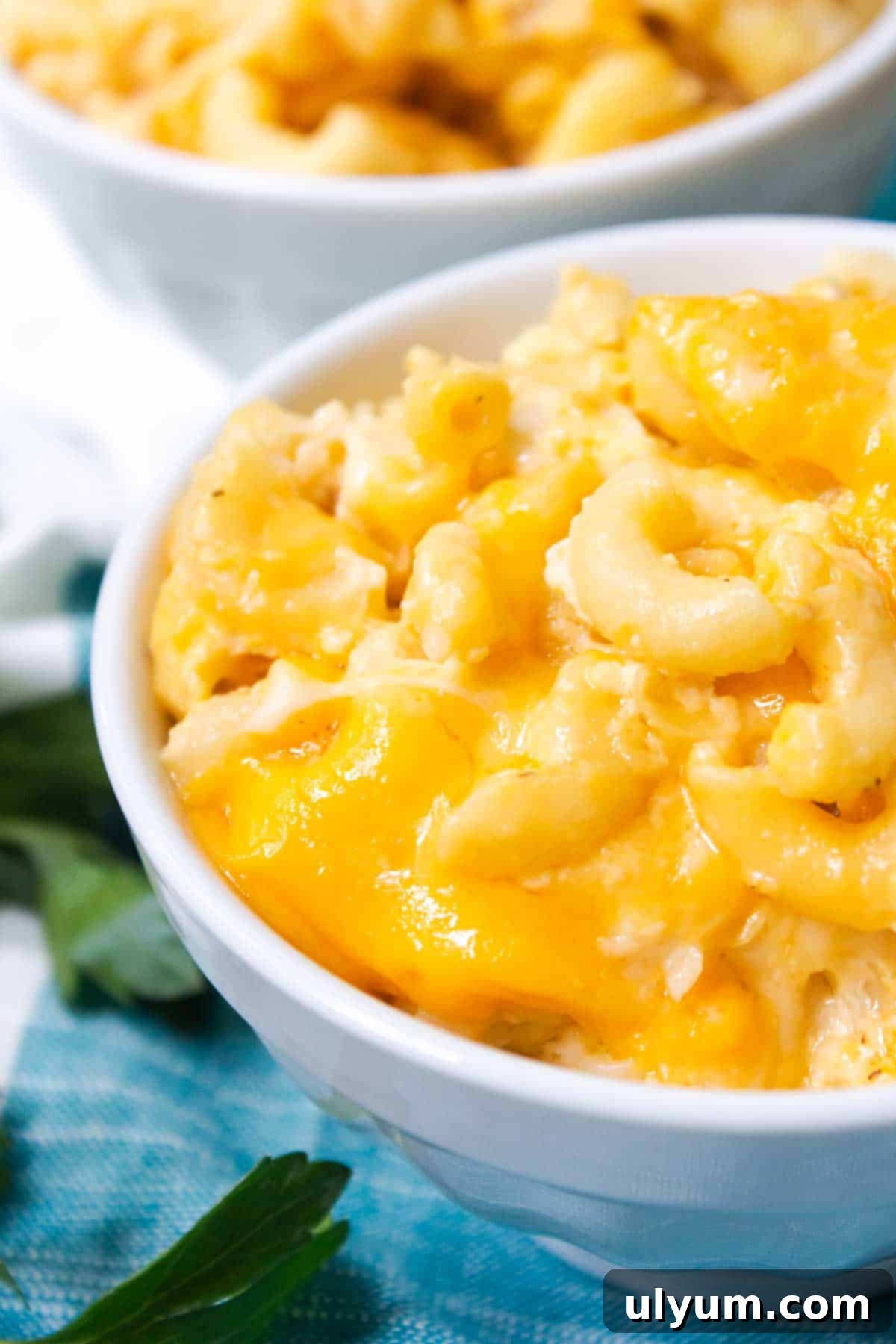 Homestyle Southern Baked Mac and Cheese 2 Delicious 6 Cheese Mac and Cheese baked to golden perfection
