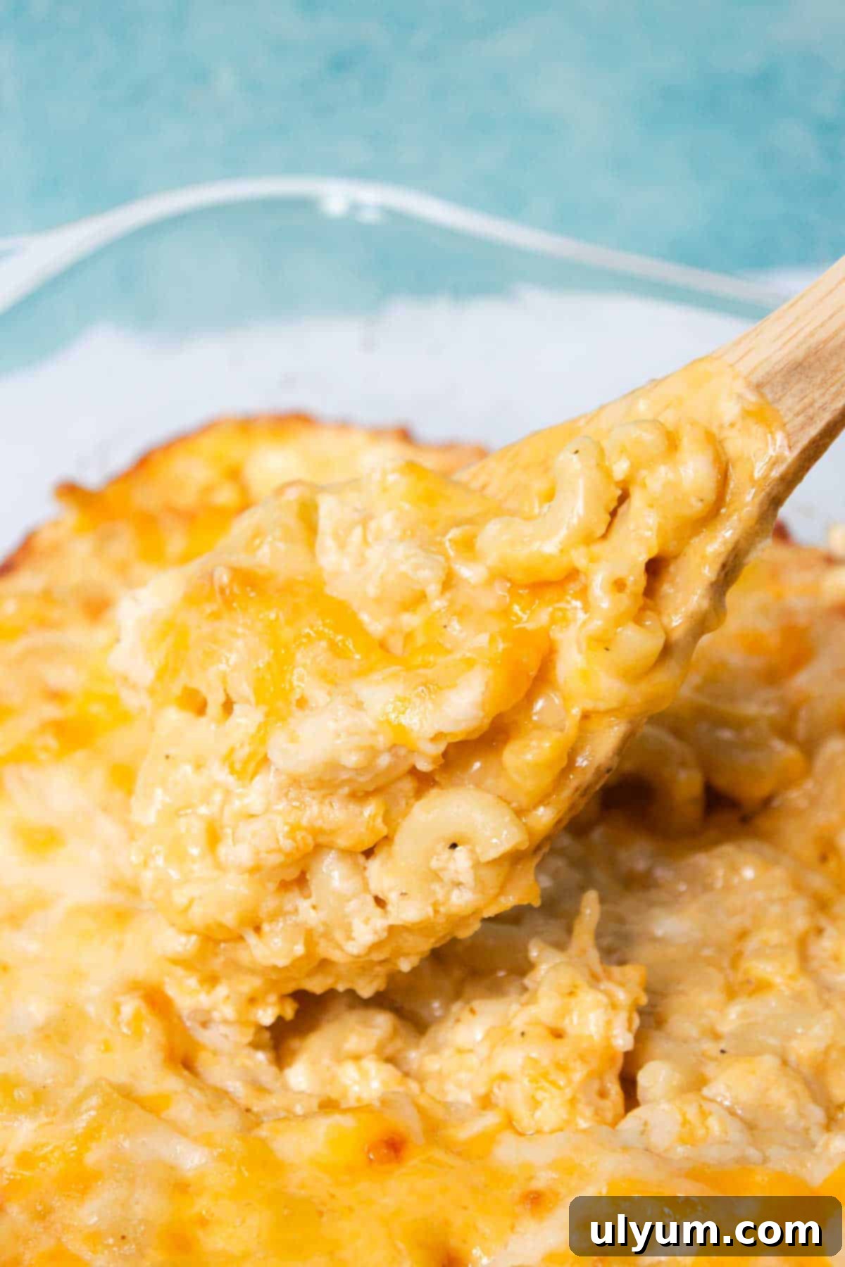 A spoonful of creamy 6 Cheese Mac and Cheese being served from the casserole dish.