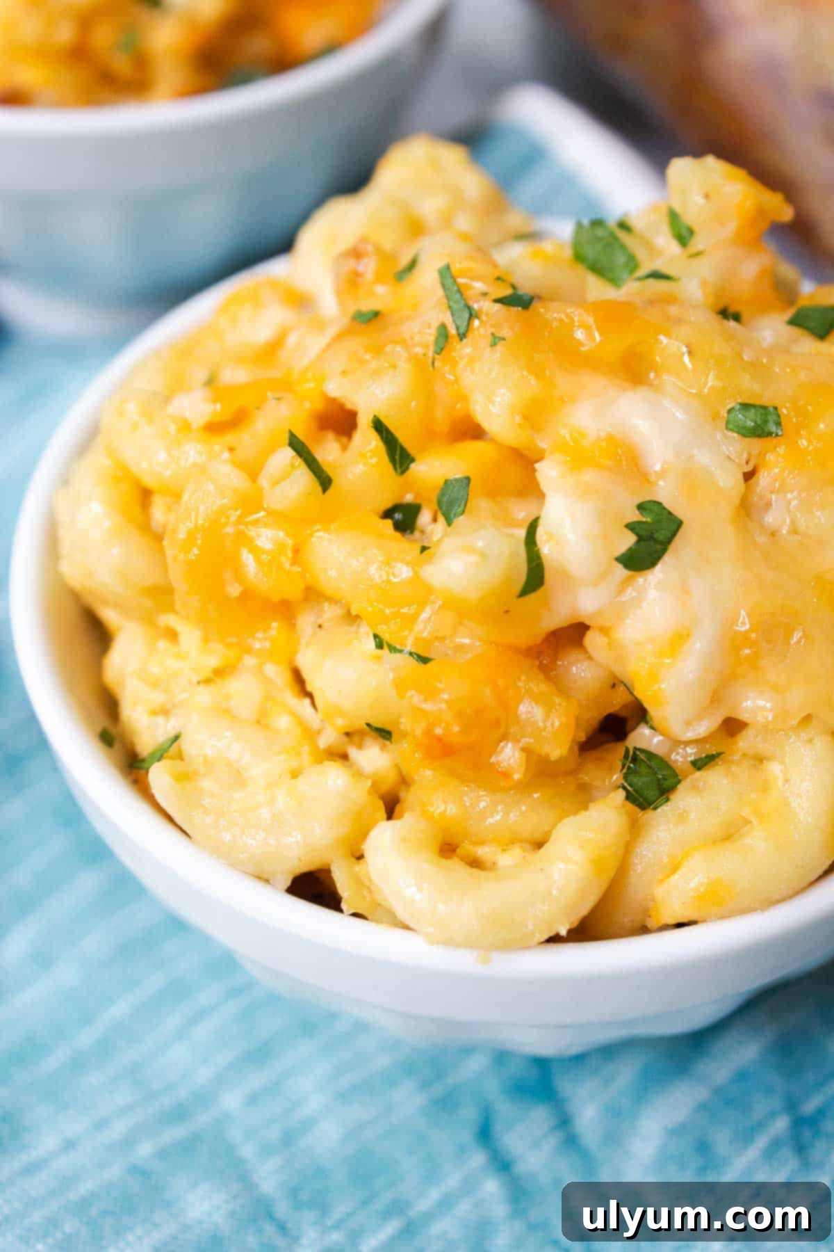 Homestyle Southern Baked Mac and Cheese 12 6 Cheese Mac and Cheese garnished with fresh parsley.
