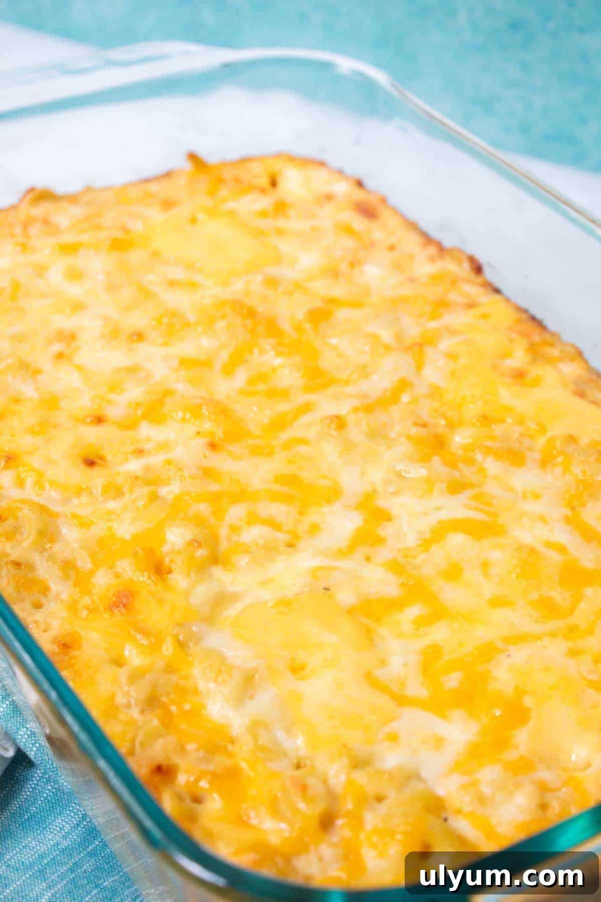 Homestyle Southern Baked Mac and Cheese 13 Close-up of baked 6 Cheese Mac and Cheese in a casserole dish, showing the creamy texture and golden top.