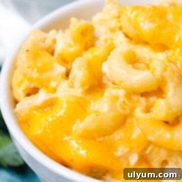 Homestyle Southern Baked Mac and Cheese 14 A serving of the 6 Cheese Mac and Cheese