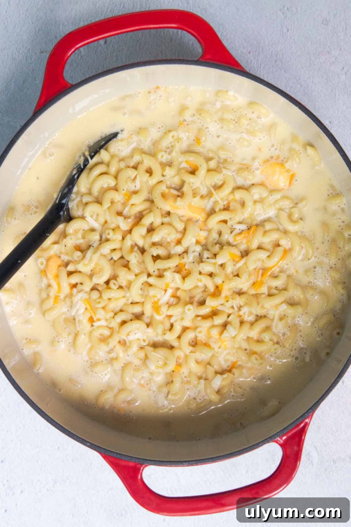 Egg mixture and shredded cheese stirred into cooked elbow macaroni in a large pot, ready for baking.