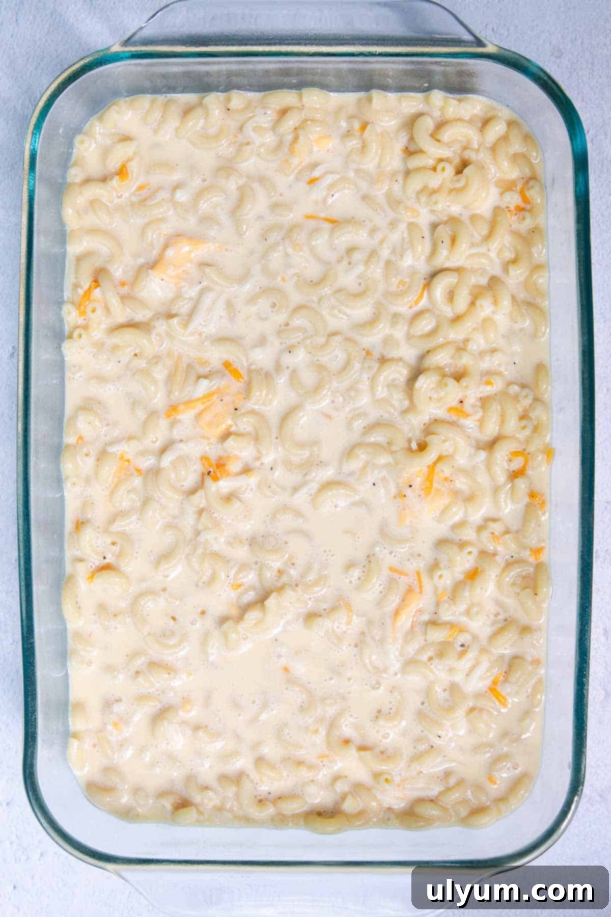 Mac and cheese mixture evenly spread into a 9 by 13 inch casserole dish, unbaked.