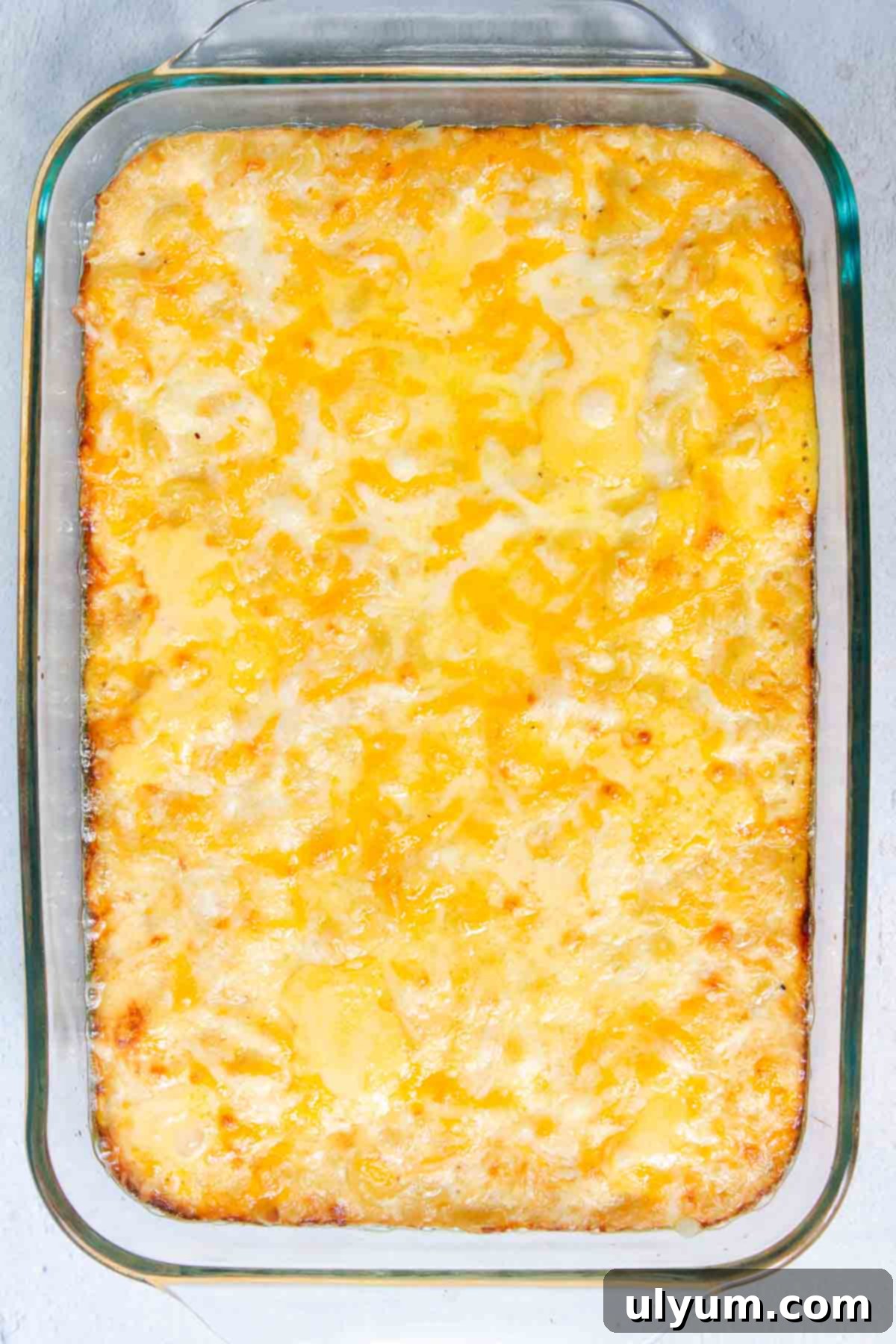 Baked 6 Cheese Mac and Cheese with lightly golden brown edges in a casserole dish.