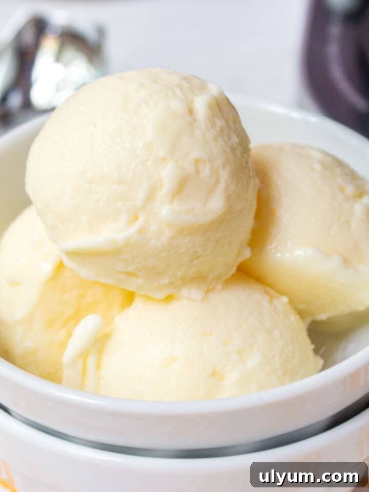 Top 5 Ninja Creami Protein Ice Cream Recipes 3 Ninja Creami Vanilla Protein Ice Cream