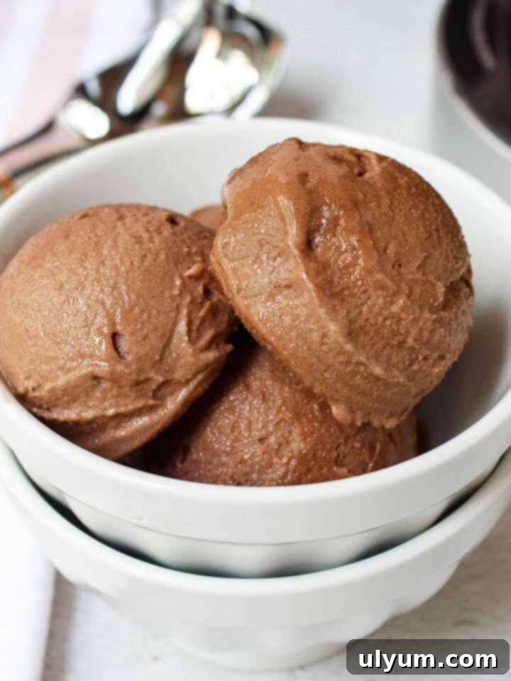 Top 5 Ninja Creami Protein Ice Cream Recipes 4 Ninja Creami Chocolate Protein Ice Cream