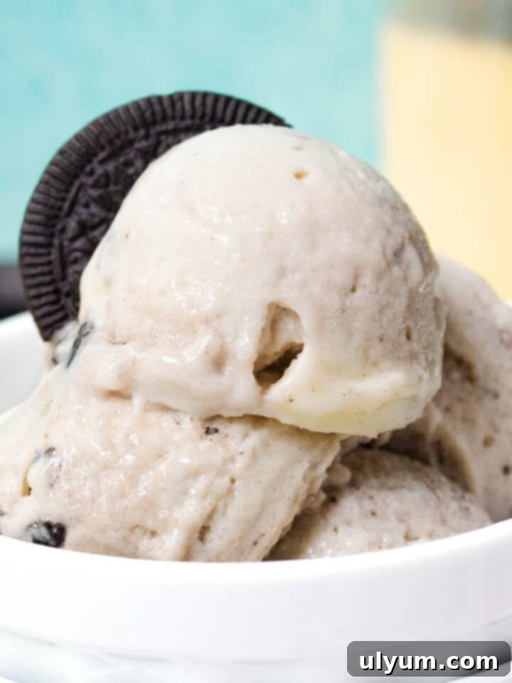 Top 5 Ninja Creami Protein Ice Cream Recipes 5 Ninja Creami Oreo Protein Ice Cream