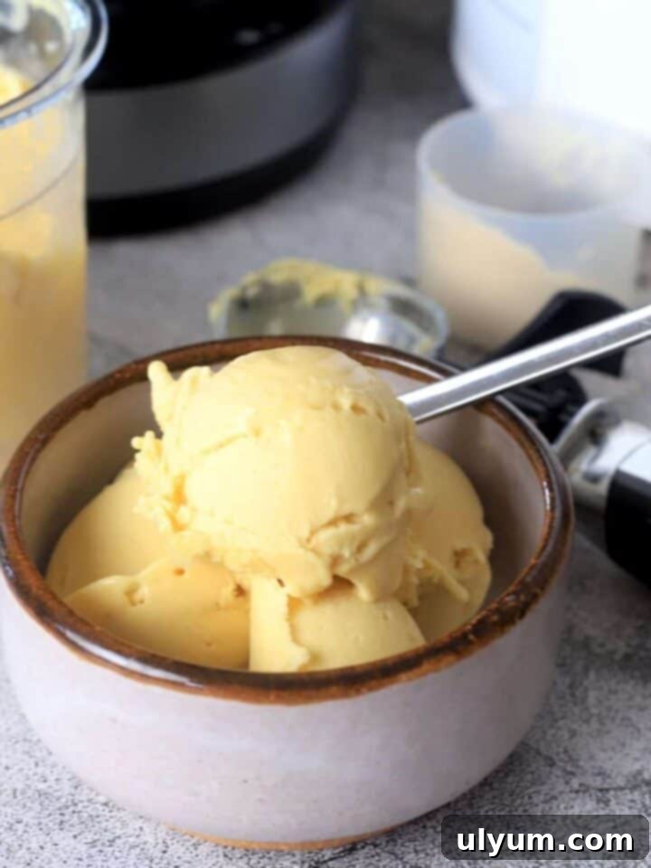 Top 5 Ninja Creami Protein Ice Cream Recipes 6 img 13566 5