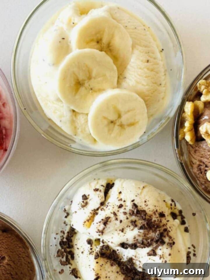 Top 5 Ninja Creami Protein Ice Cream Recipes 7 img 13566 6