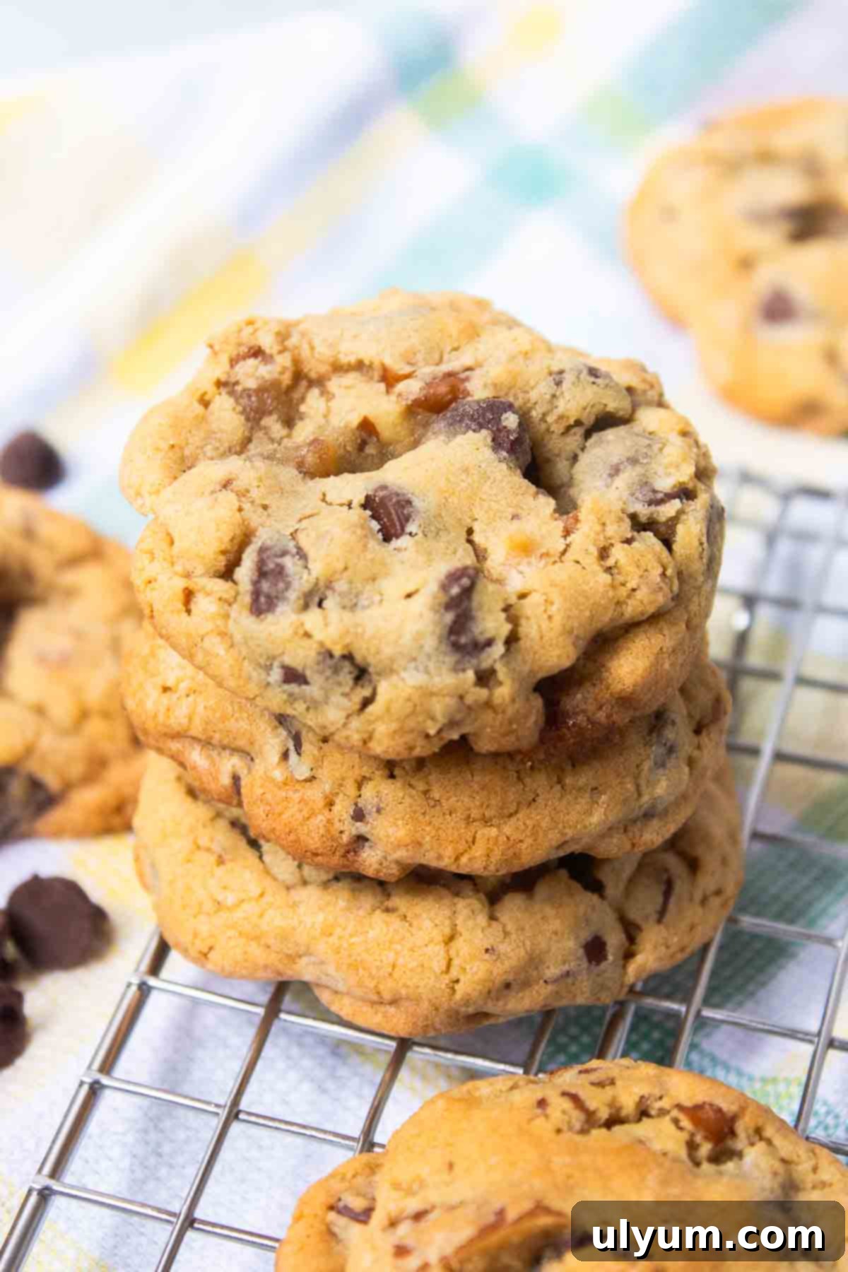 Stack of Chocolate Chip Pecan Cookies