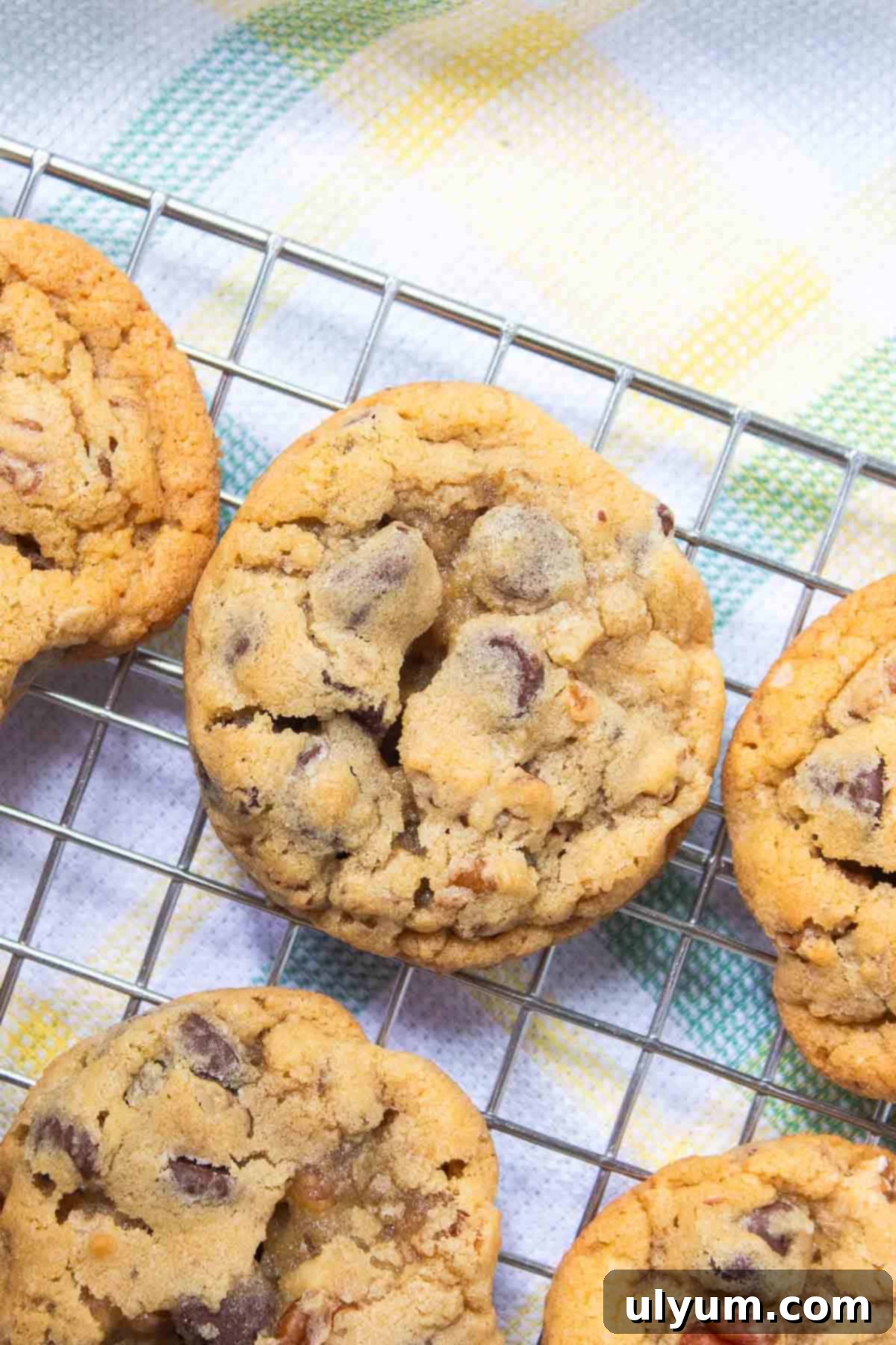 Chocolate Chip Pecan Cookies on a wire rack