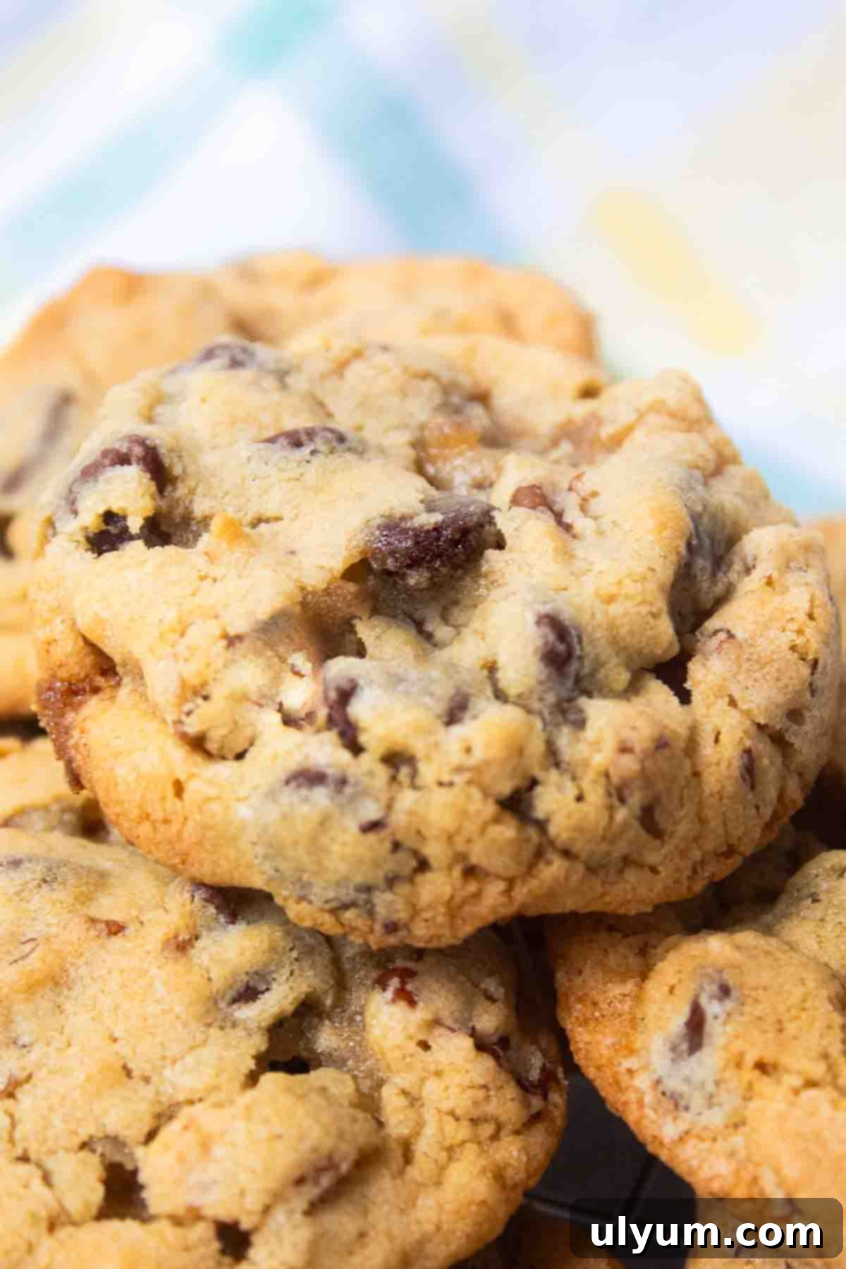 Crisco Ultimate Chocolate Chip Cookies