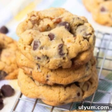 Crisco Ultimate Chocolate Chip Cookies