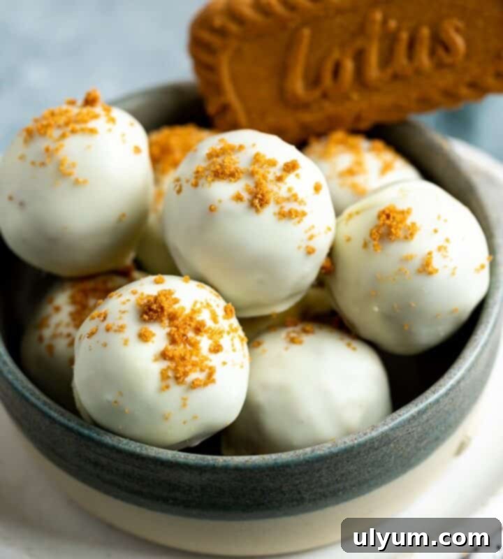 Delicious 3-ingredient Biscoff Truffles.