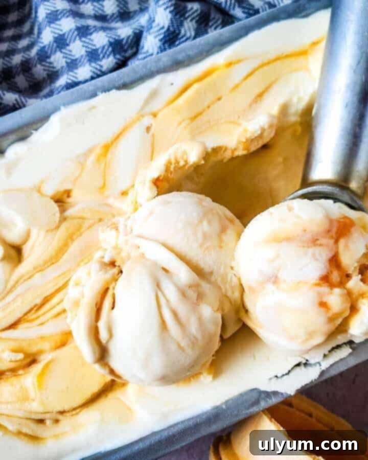 Creamy No Churn Butterscotch Ice Cream.