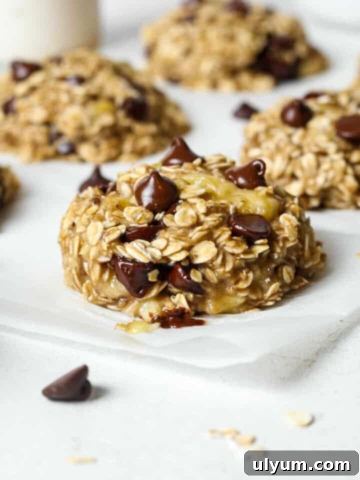 Healthy 3-ingredient banana oatmeal cookies with chocolate chips.