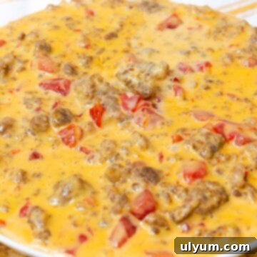 Ultimate Velveeta Sausage Dip 9 Velveeta Sausage Cheese Dip