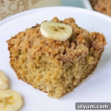 Banana coffee cake topped with a banana slice, showing the moist texture and crumble topping.
