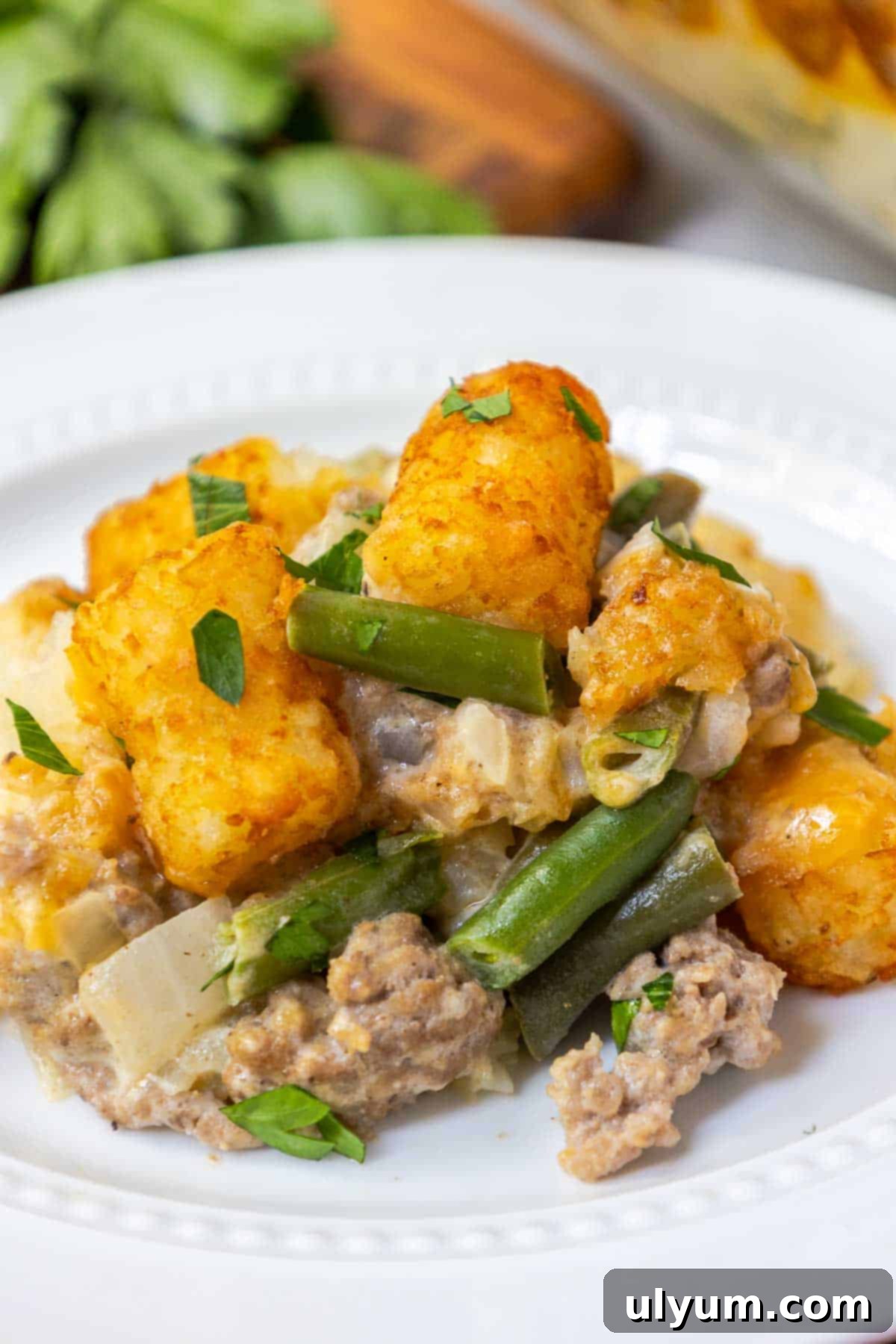 Another beautiful shot of the green bean tater tot casserole with cheese and ground beef, showing its golden, bubbly appeal.