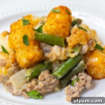 Green bean tater tot casserole with ground beef and cheddar cheese, a delicious comfort food meal.