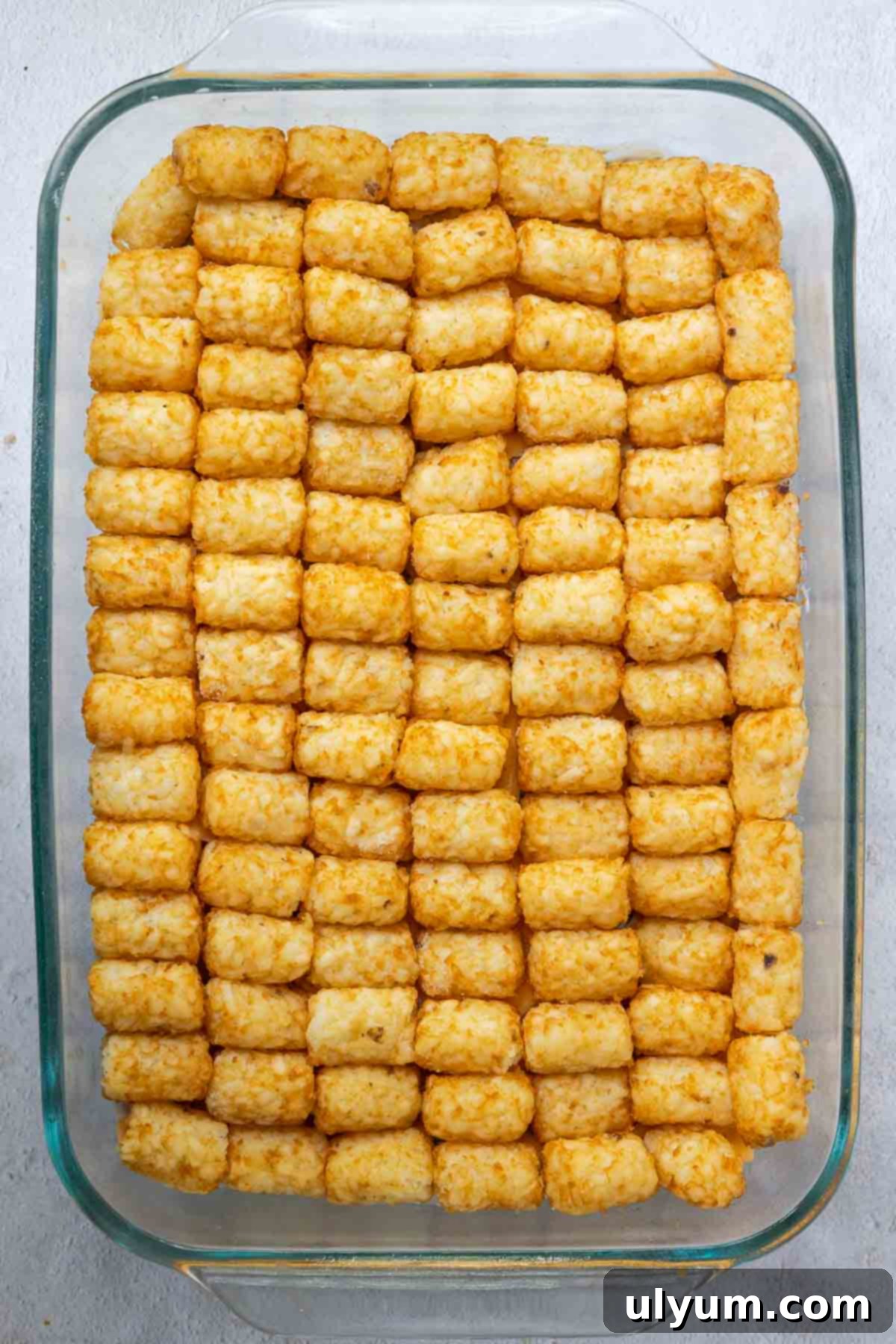 Tater tots are carefully placed on their side in a single, neat layer over the entire casserole dish, preparing for a crispy finish.