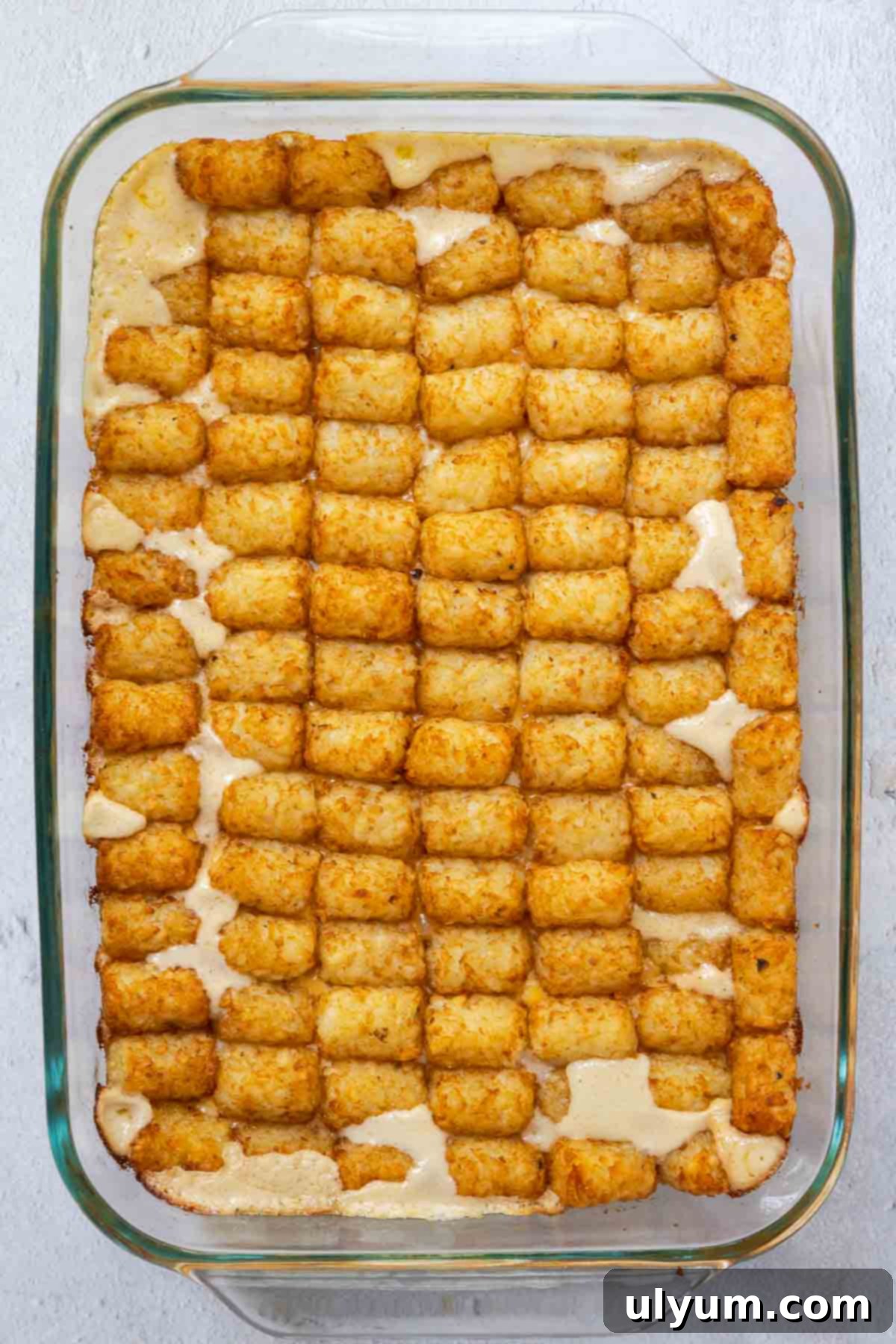 The casserole is baked until the tater tots are golden brown and crispy, with the creamy meat mixture underneath bubbling to the top.