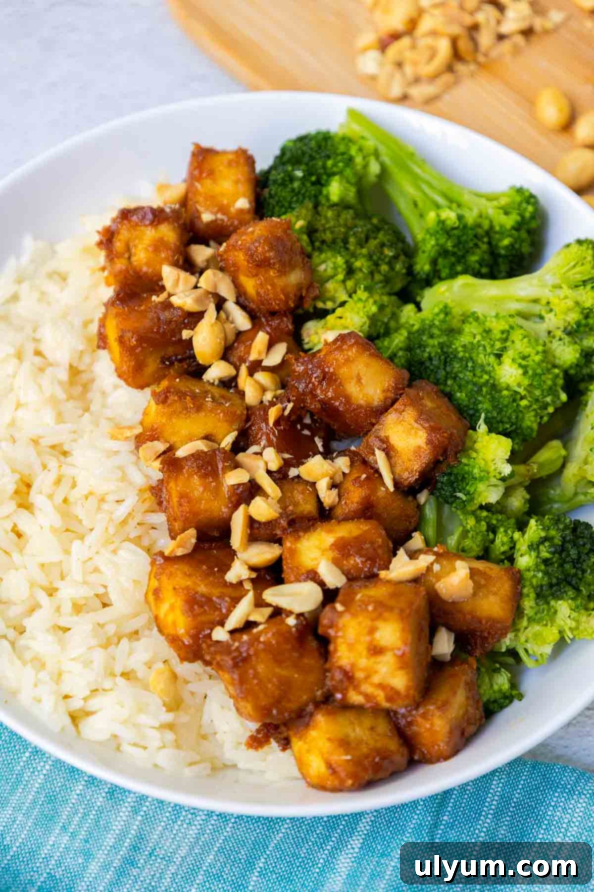 Peanut butter tofu served with rice and broccoli, beautifully garnished and ready to eat.