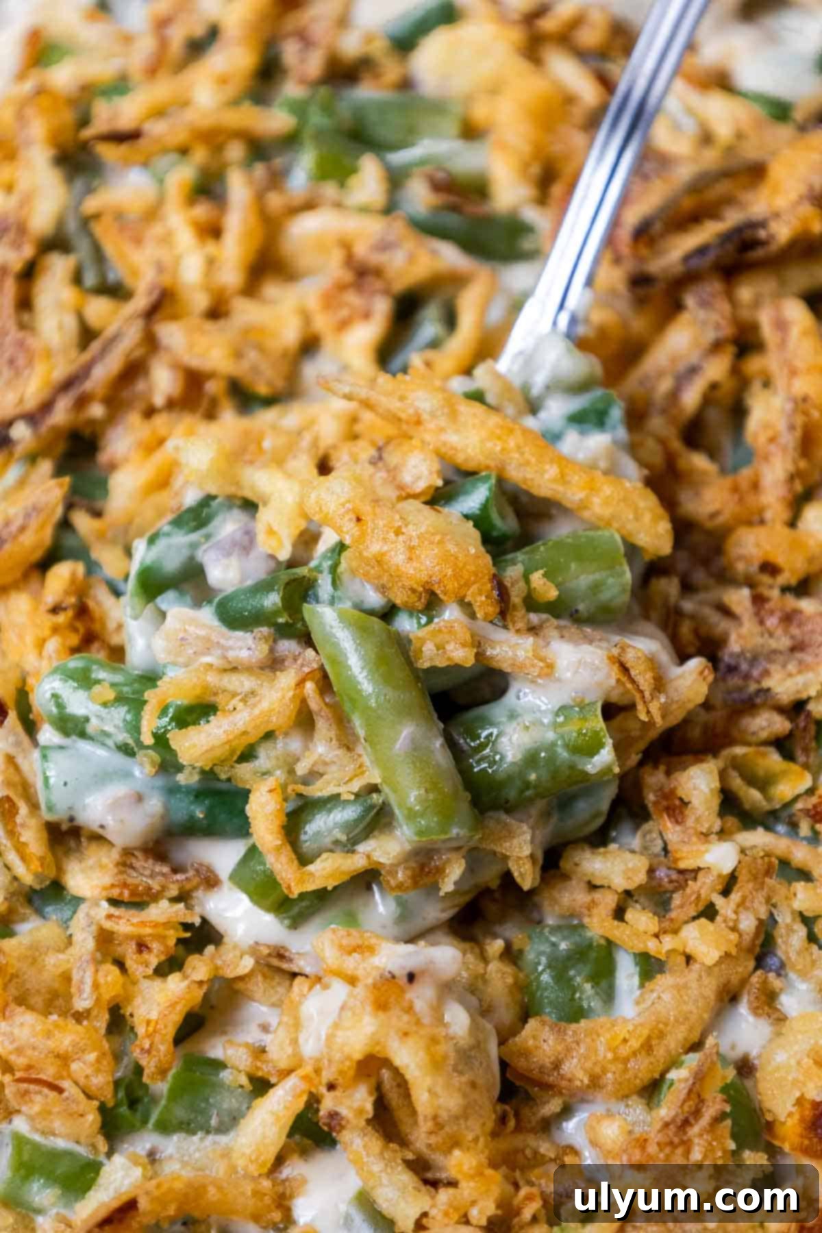 Holiday-Sized Green Bean Casserole 2 Green bean casserole with crispy fried onions.
