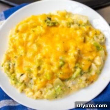 Crockpot Broccoli Rice Casserole.