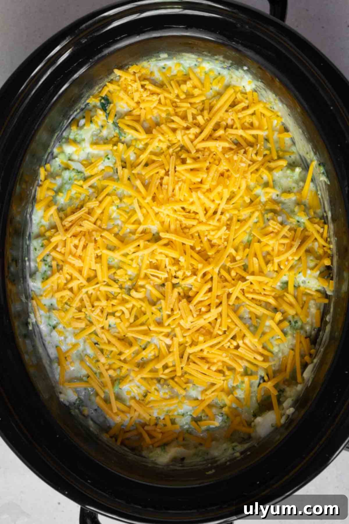 Shredded cheddar cheese sprinkled in an even layer over the cooked broccoli rice casserole filling.