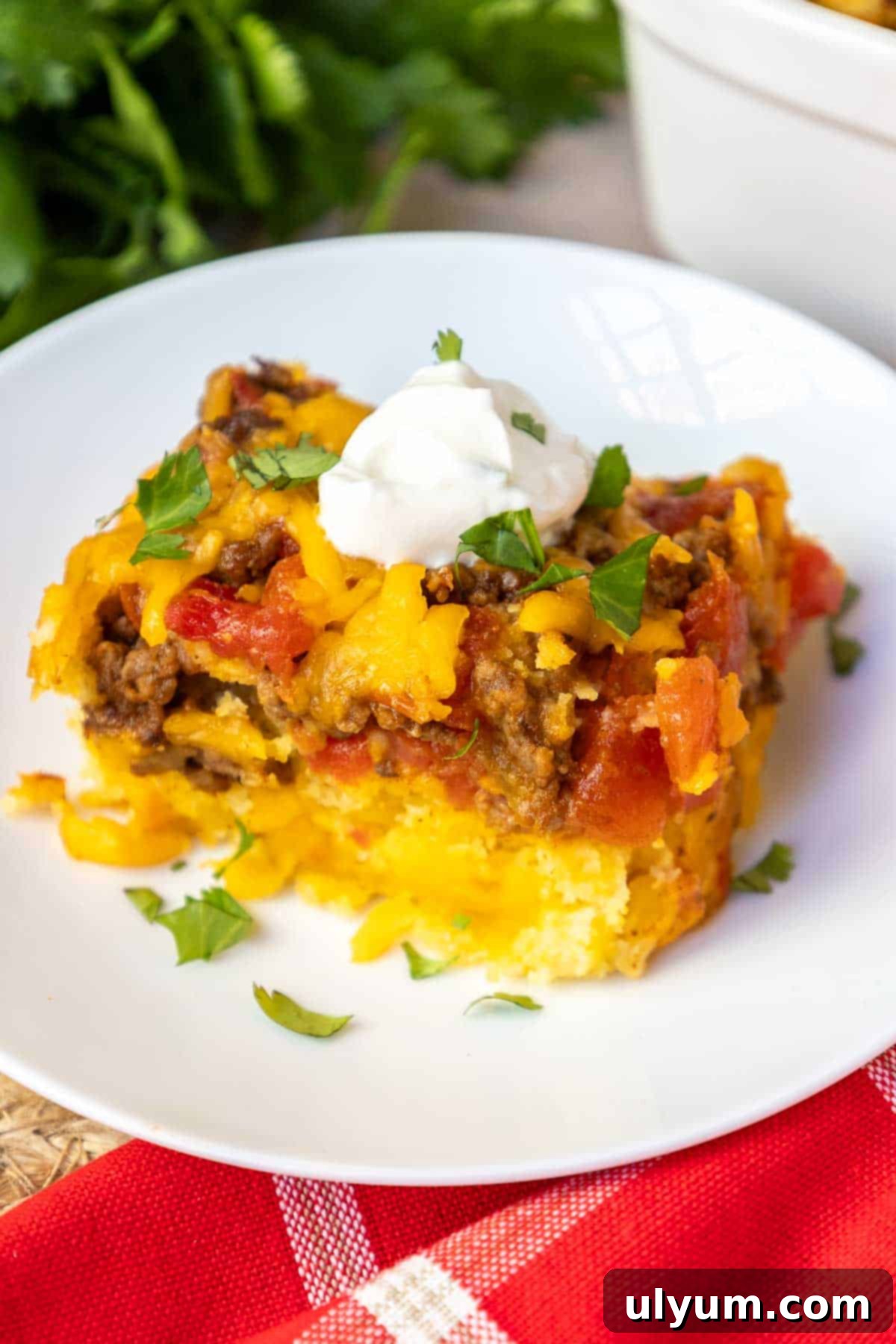 Mexican cornbread casserole topped with a dollop of sour cream and fresh cilantro, ready to be served.