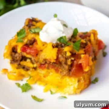 Mexican cornbread casserole topped with sour cream and cilantro, a perfect hearty meal.