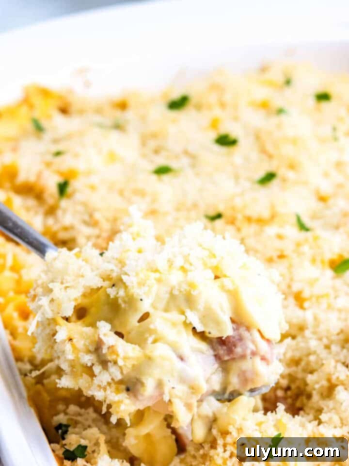Chicken Cordon Bleu Casserole with egg noodles.