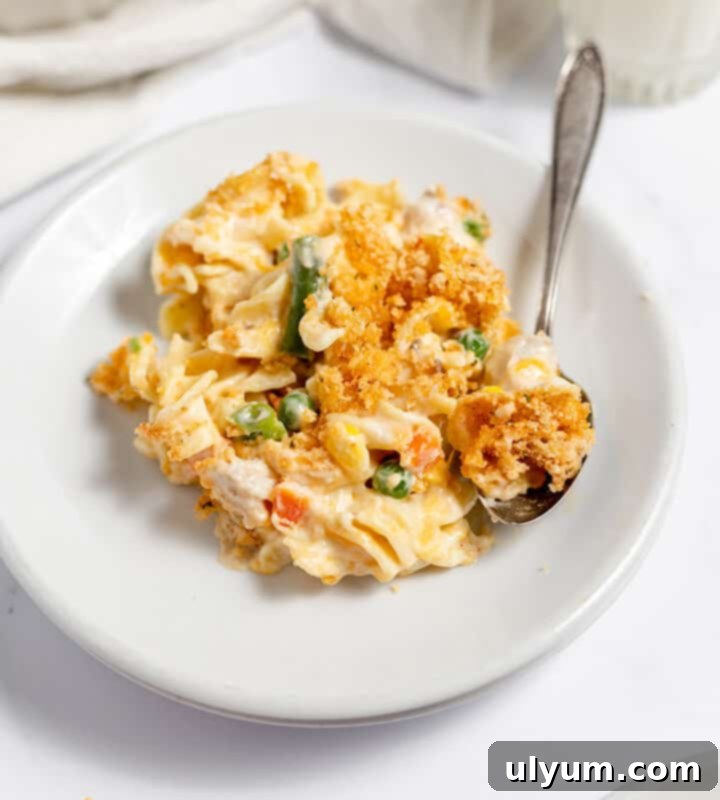 Chicken Noodle Casserole topped with breadcrumbs.