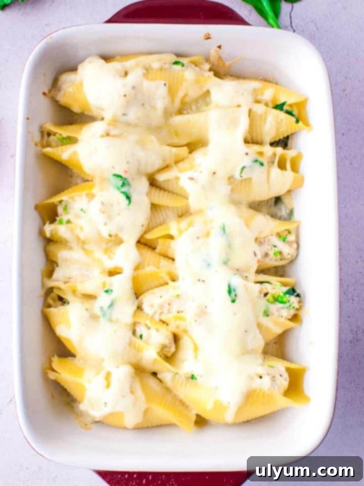 Chicken Alfredo Stuffed Shells with spinach and broccoli.