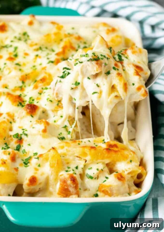 Creamy Chicken Alfredo Bake with penne pasta.