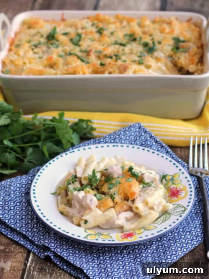 Chicken Suiza Pasta Bake with a creamy sauce.