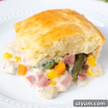 Ham and Vegetable Casserole with a Bisquick Layer on Top, a complete family meal.