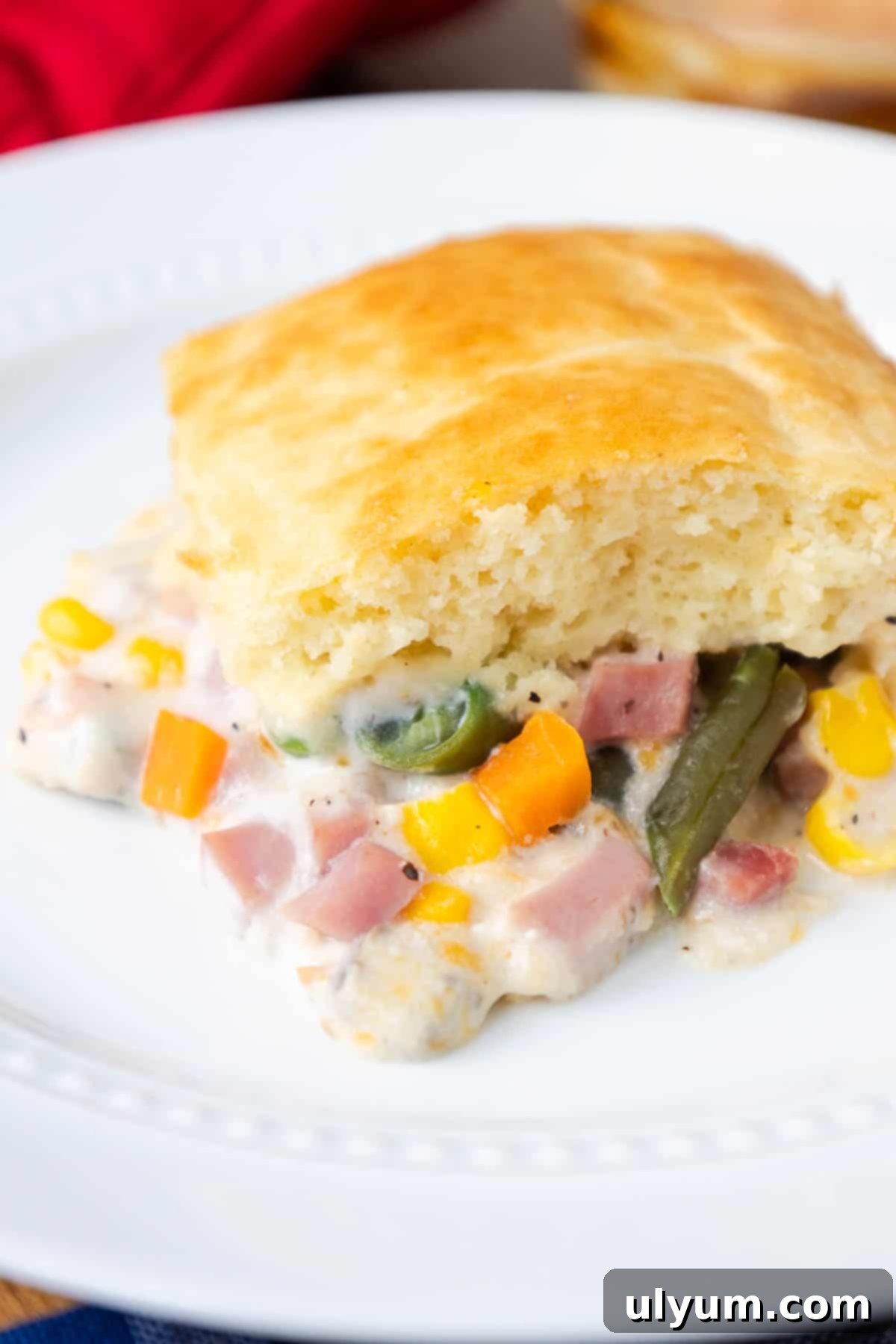 A serving of Ham and Vegetable Casserole with a Bisquick Layer on Top, showing the creamy filling and fluffy crust.