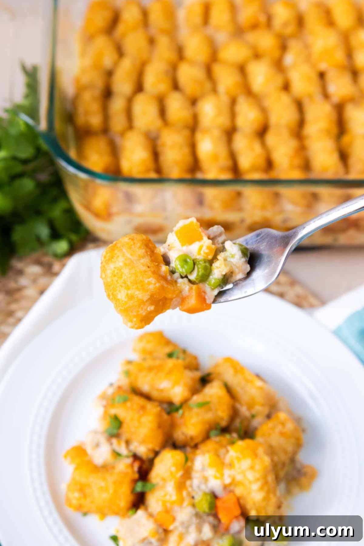 A forkful of Turkey Tater Tot Casserole to show the ground turkey, peas, and carrots in a creamy sauce.
