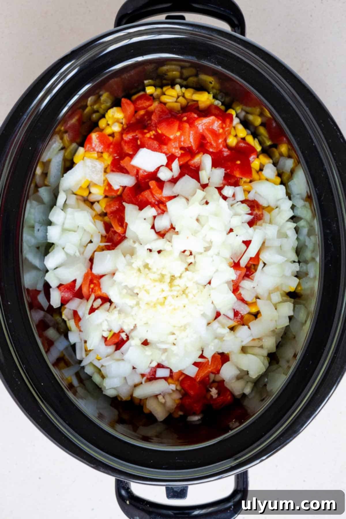 The beans, corn, tomatoes, onion, and garlic are added on top of the chicken.