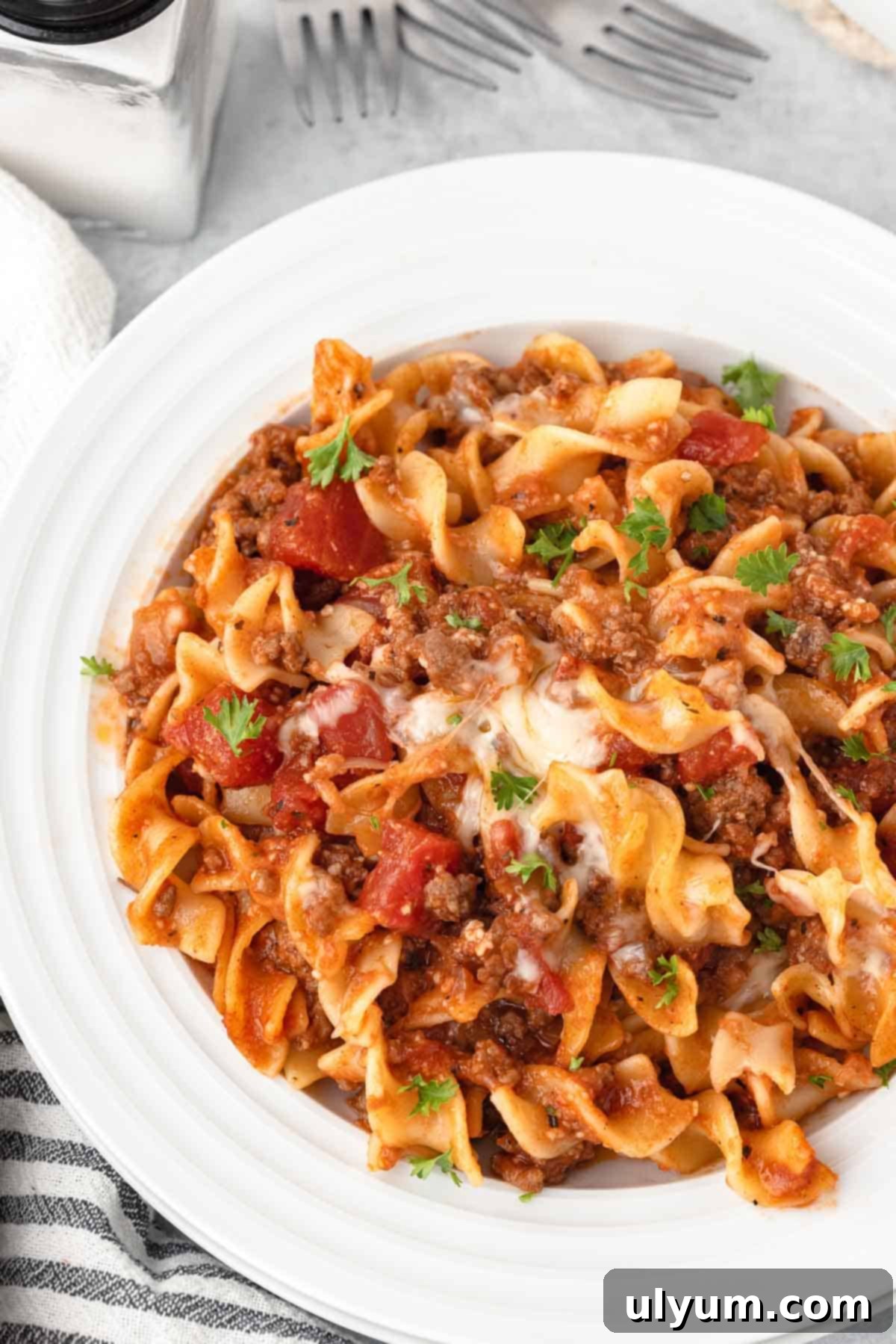 A serving of ground beef noodle casserole on a plate, showcasing the layers of noodles, meat sauce, and melted mozzarella.