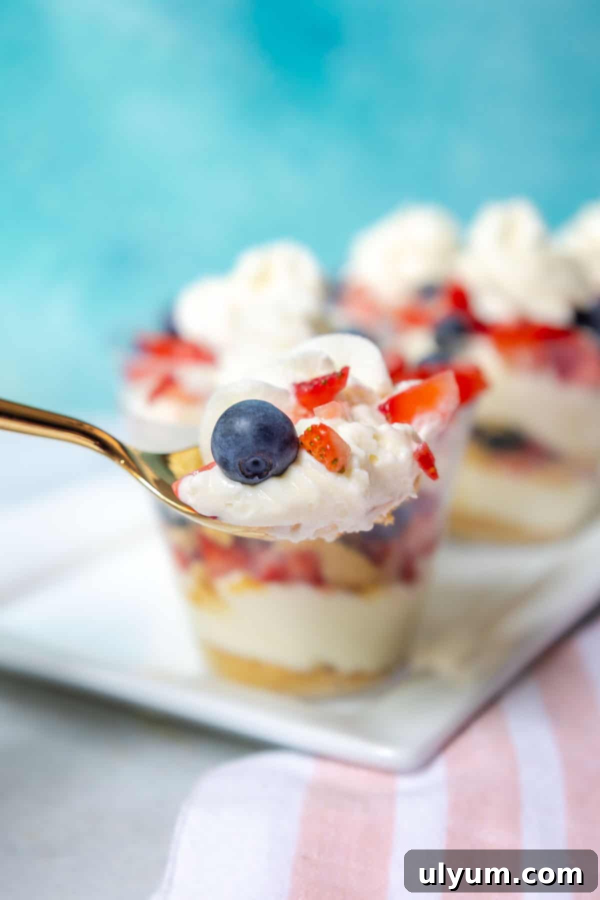 A spoonful of the no bake cheesecake cup