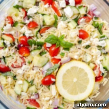 Lemon Feta Orzo Salad.